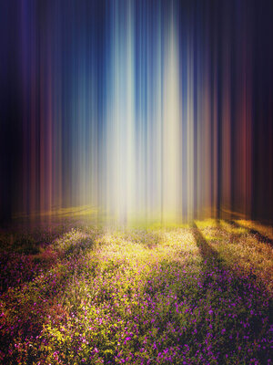 cover image of Seiden Gedanken
